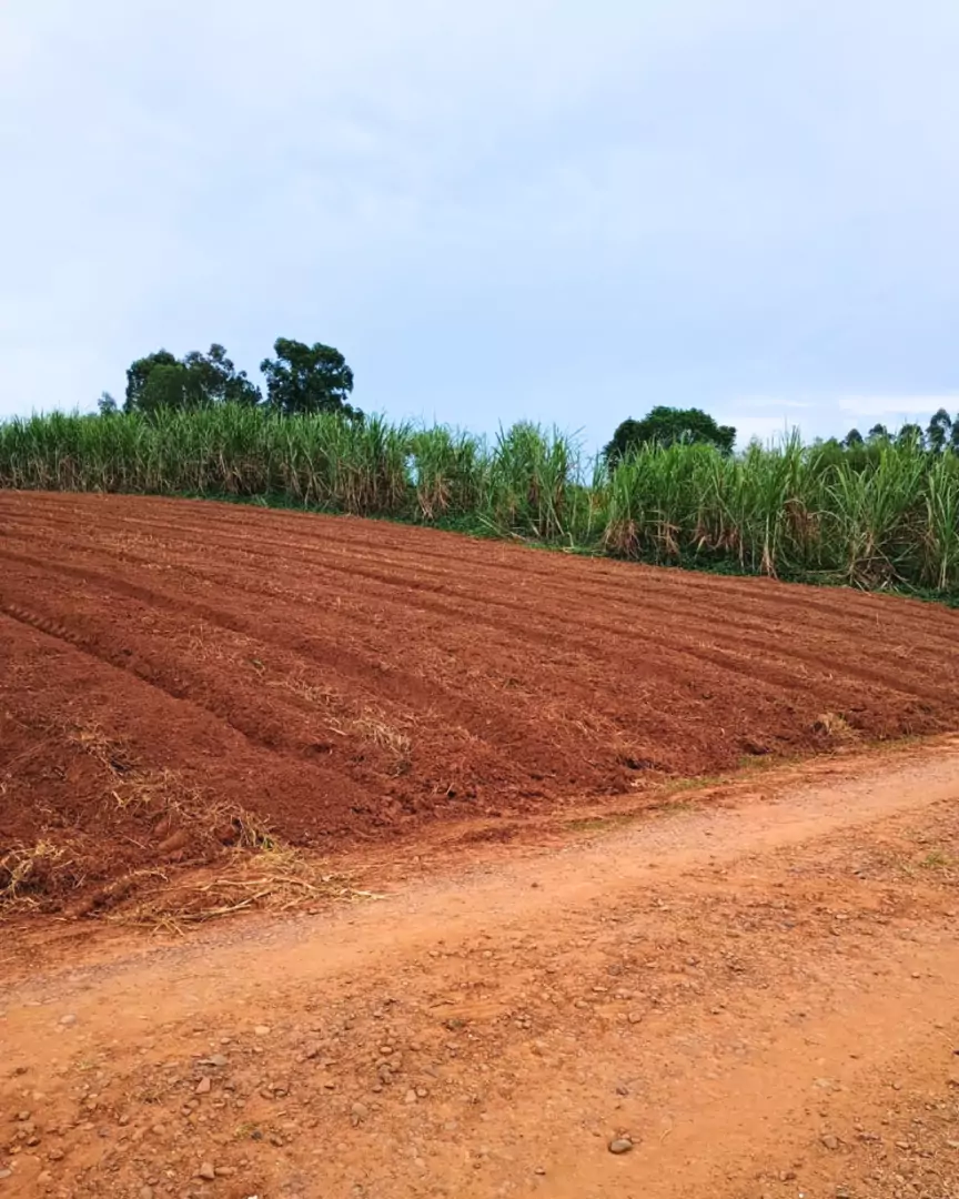 Venda - área de terras